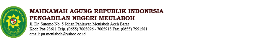 logo pn-meulaboh